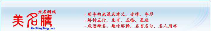 用字的來源及意義、音律、字形；五行、生肖、五格、星座；成語釋名、趣味解釋、名言名句、名人用字
