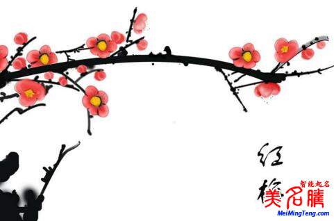 2018梅姓寶寶最詩(shī)意、最不凡的名字大全