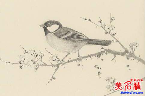 2018梅姓寶寶最詩(shī)意、最不凡的名字大全